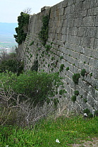 img_1255.jpg