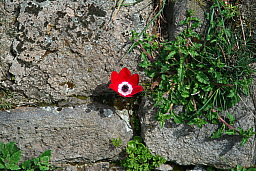 img_1267.jpg