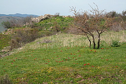 img_1270.jpg