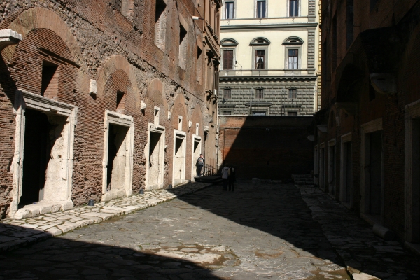 img_1239.jpg