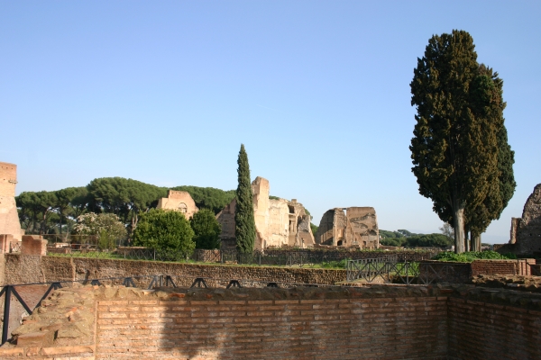 img_1314.jpg