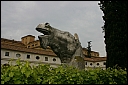 img_1025.jpg
