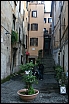 img_1184.jpg