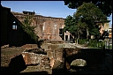 img_1231.jpg