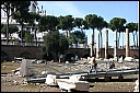 img_1251.jpg