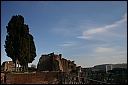 img_1317.jpg