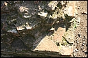img_1330.jpg