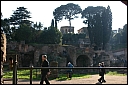 img_1331.jpg
