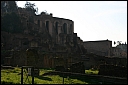 img_1332.jpg