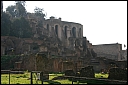 img_1333.jpg