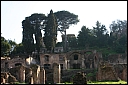 img_1334.jpg