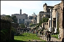 img_1335.jpg