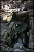 img_1337.jpg