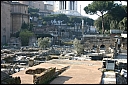 img_1345.jpg