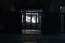 crw_2563.jpg