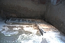 crw_2612.jpg
