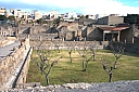 crw_2628.jpg
