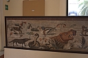 crw_2516.jpg
