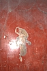 crw_2455.jpg