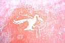 crw_2458.jpg