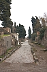 crw_2474.jpg