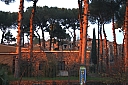 crw_2491.jpg