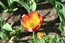 img_6864.jpg