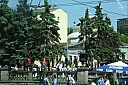 img_6905.jpg