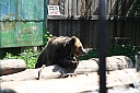 img_6915.jpg