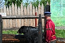 img_6921.jpg