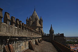 img_6086.jpg