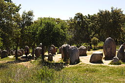 img_6265.jpg