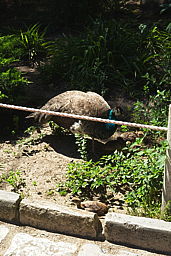 img_6638.jpg