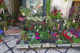 img_6665.jpg