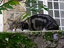 dscn1277.jpg