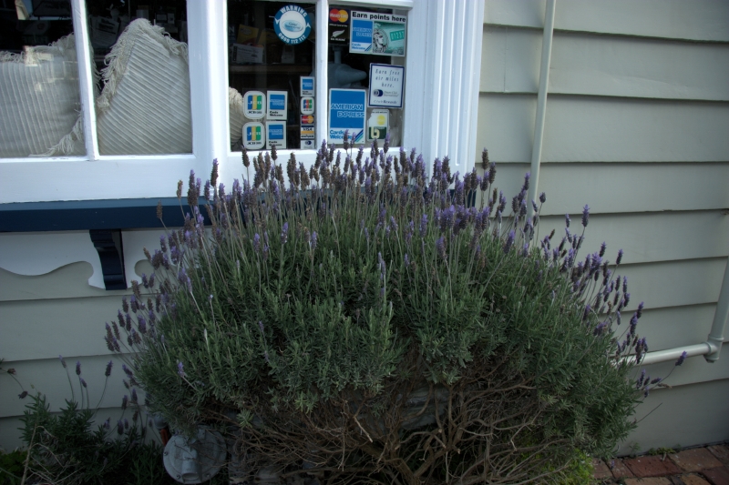 crw_3363.jpg