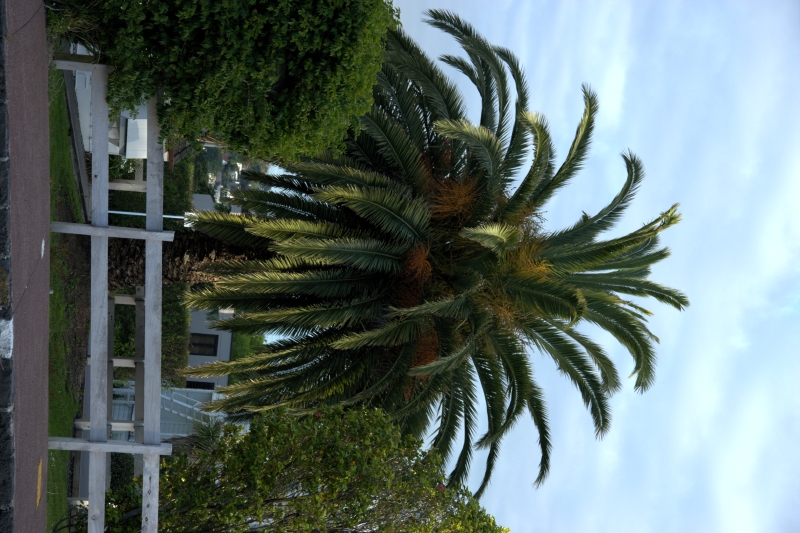 crw_3375.jpg
