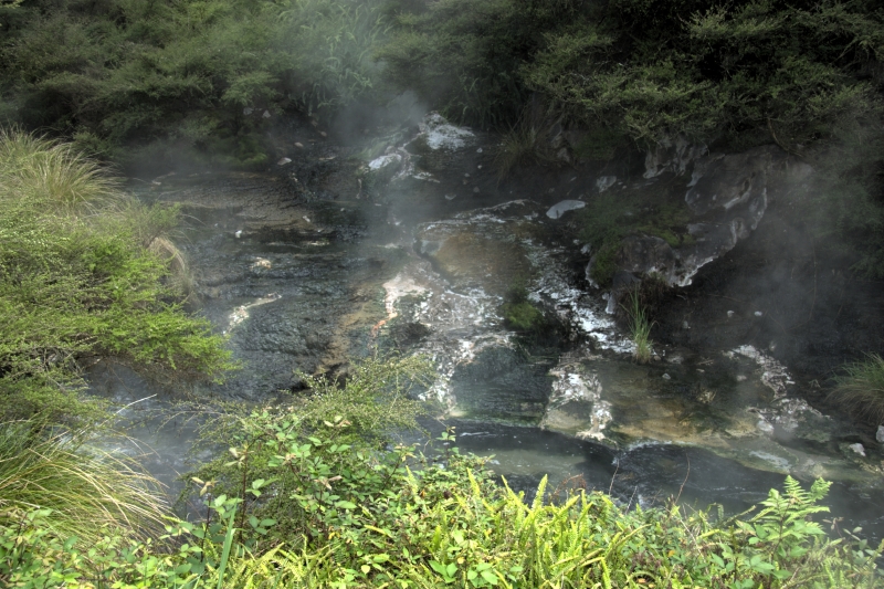 crw_3560.jpg