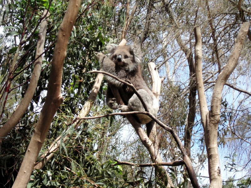 kif_0087.jpg
