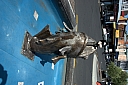 crw_3331.jpg
