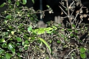 crw_3402.jpg