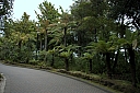 crw_3455.jpg