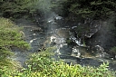 crw_3560.jpg