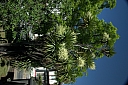 crw_3713.jpg