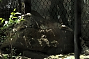crw_3795.jpg