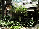 kif_0119.jpg