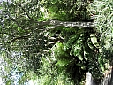 kif_0120.jpg