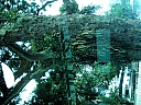 kif_0133.jpg