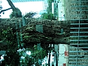 kif_0134.jpg