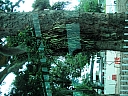 kif_0135.jpg